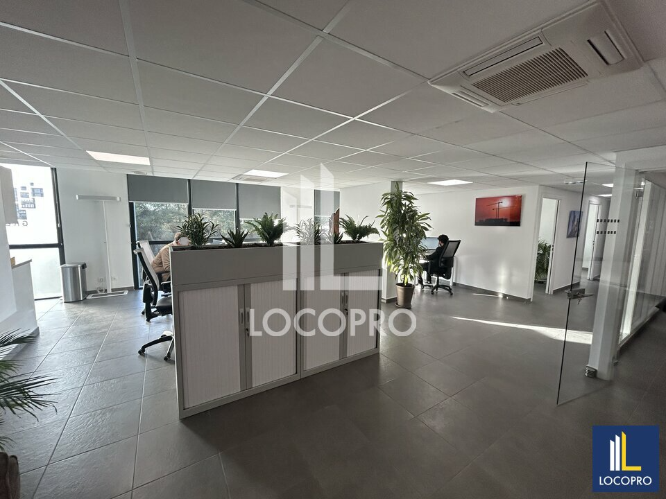 LOCOPRO ALPES MARITIMES VENTE-BUREAUX-NICE-06