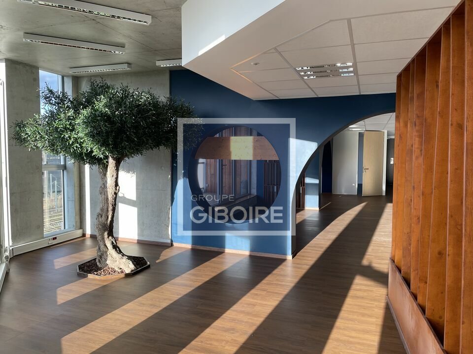 GIBOIRE NANTES LOCATION-BUREAUX-ANGERS-49
