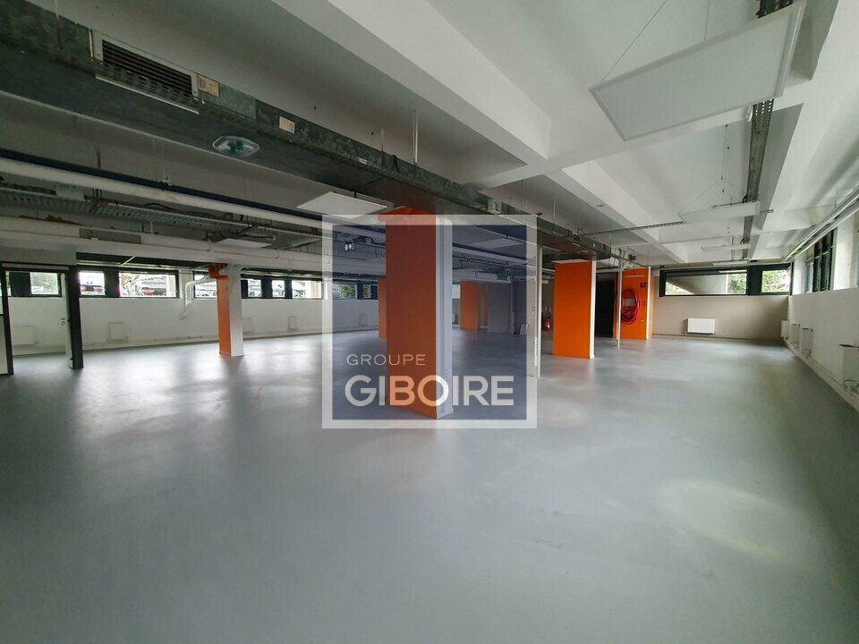 GIBOIRE NANTES LOCATION-BUREAUX-ANGERS-49