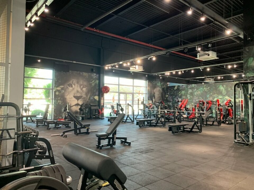 ARTHUR LOYD VAUCLUSE LOCATION-LOCAL COMMERCIAL-AVIGNON-84