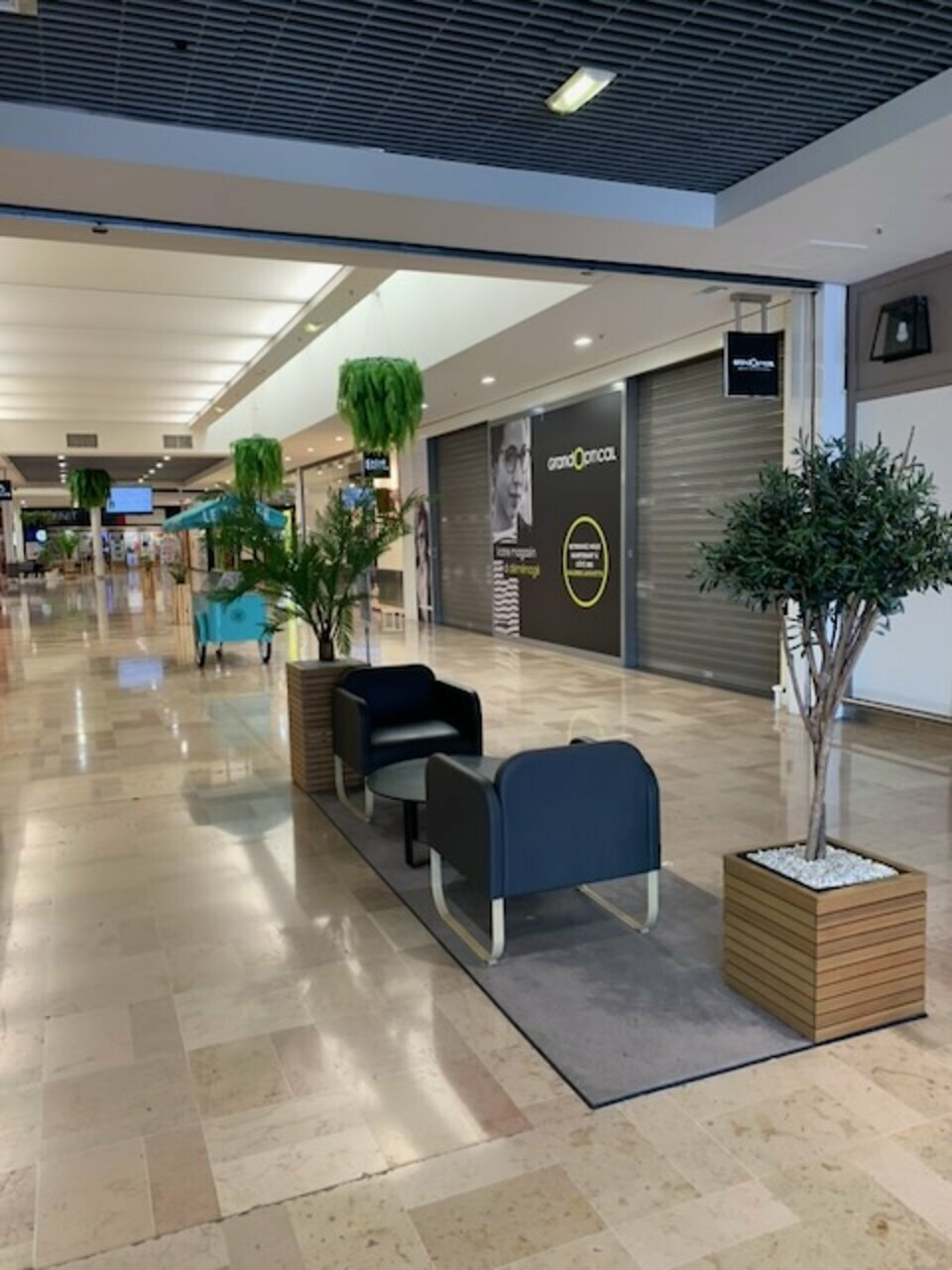 ARTHUR LOYD VAUCLUSE LOCATION-LOCAL COMMERCIAL-AVIGNON-84