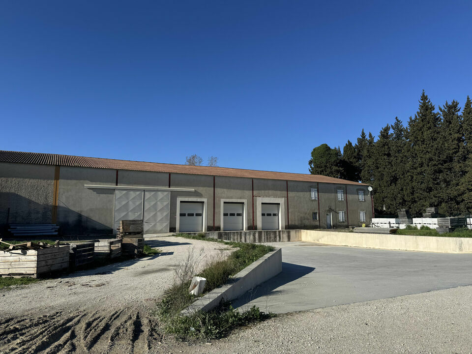 ARTHUR LOYD VAUCLUSE VENTE-LOCAL D'ACTIVITE-CHATEAURENARD-13