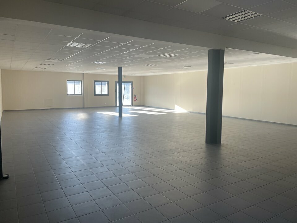 ARTHUR LOYD VAUCLUSE LOCATION-LOCAL D'ACTIVITE-AVIGNON-84