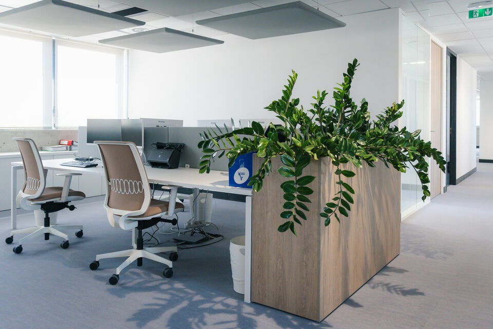 ARTHUR LOYD VAUCLUSE LOCATION-BUREAUX-AVIGNON-84