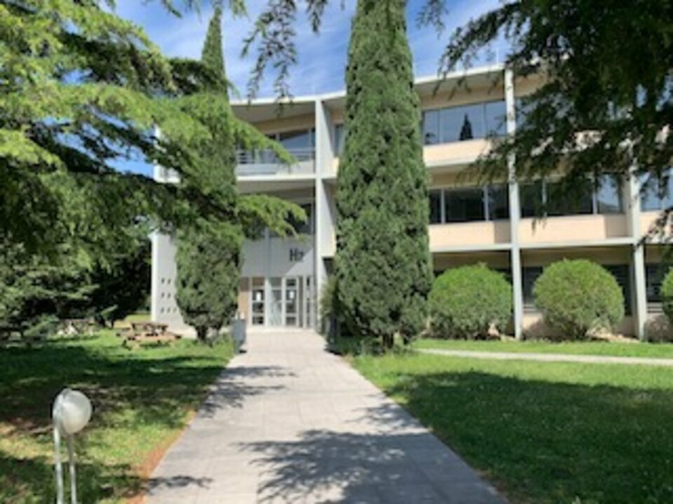 ARTHUR LOYD VAUCLUSE LOCATION-BUREAUX-AVIGNON-84