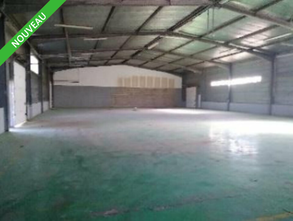 ARTHUR LOYD VAUCLUSE LOCATION-LOCAL D'ACTIVITE-AVIGNON-84