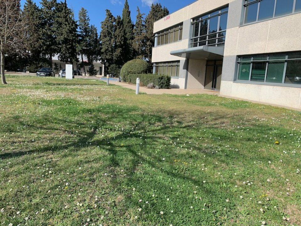 ARTHUR LOYD VAUCLUSE LOCATION-BUREAUX-AVIGNON-84