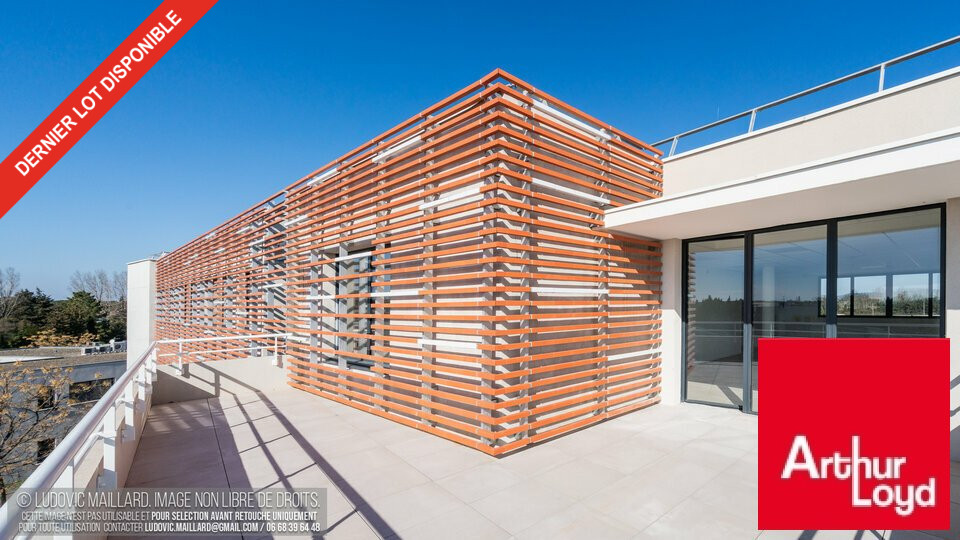 ARTHUR LOYD VAUCLUSE LOCATION-BUREAUX-AVIGNON-84