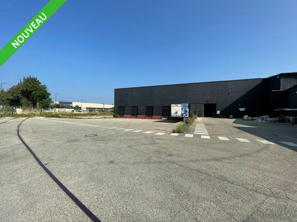 ARTHUR LOYD VAUCLUSE LOCATION-LOCAL D'ACTIVITE-L_ISLE_SUR_LA_SORGUE-84