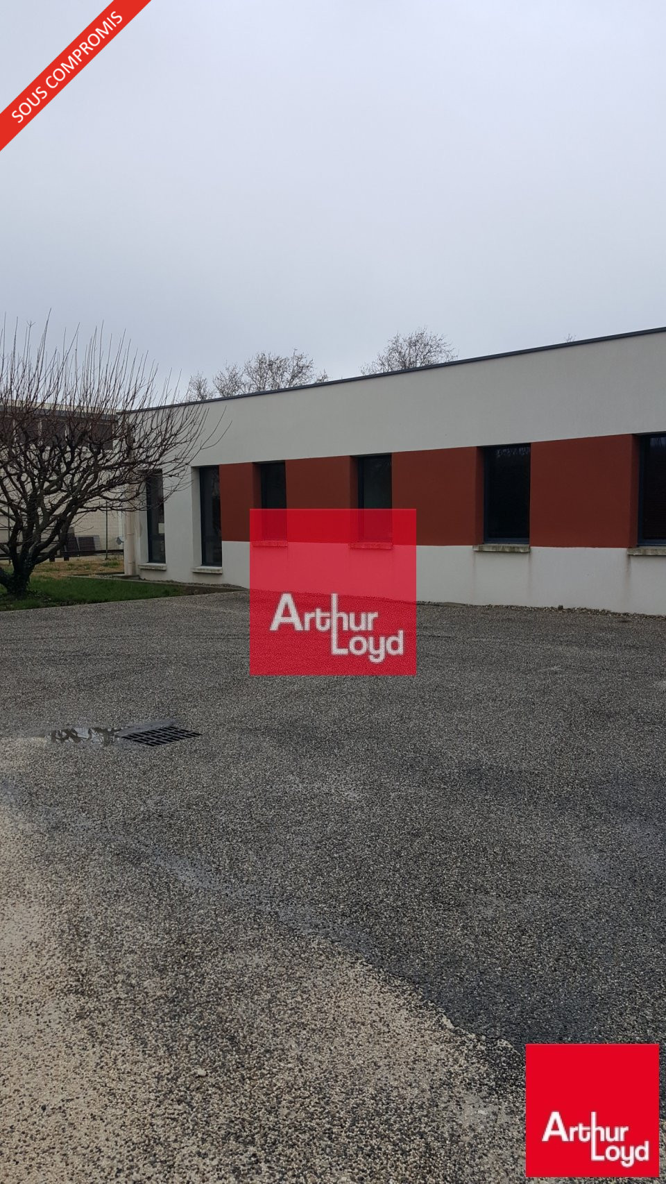ARTHUR LOYD VAUCLUSE VENTE-BUREAUX-AVIGNON-84