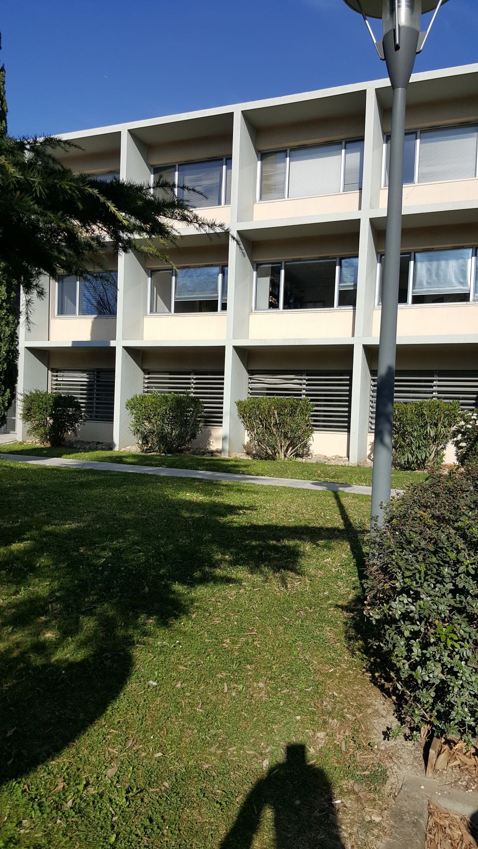 ARTHUR LOYD VAUCLUSE LOCATION-BUREAUX-AVIGNON-84