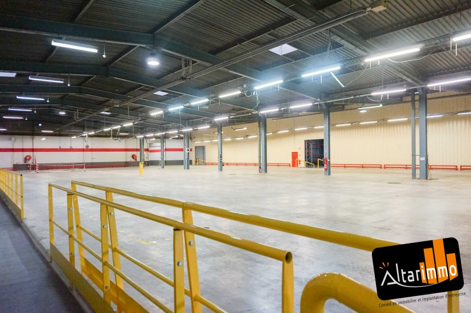 ALTARIMMO LOCATION-LOCAL D'ACTIVITE-LUCE-28