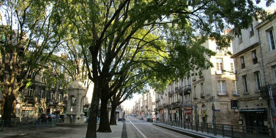 CUSHMAN WAKEFIELD BORDEAUX LOCATION-BUREAUX-BORDEAUX-33