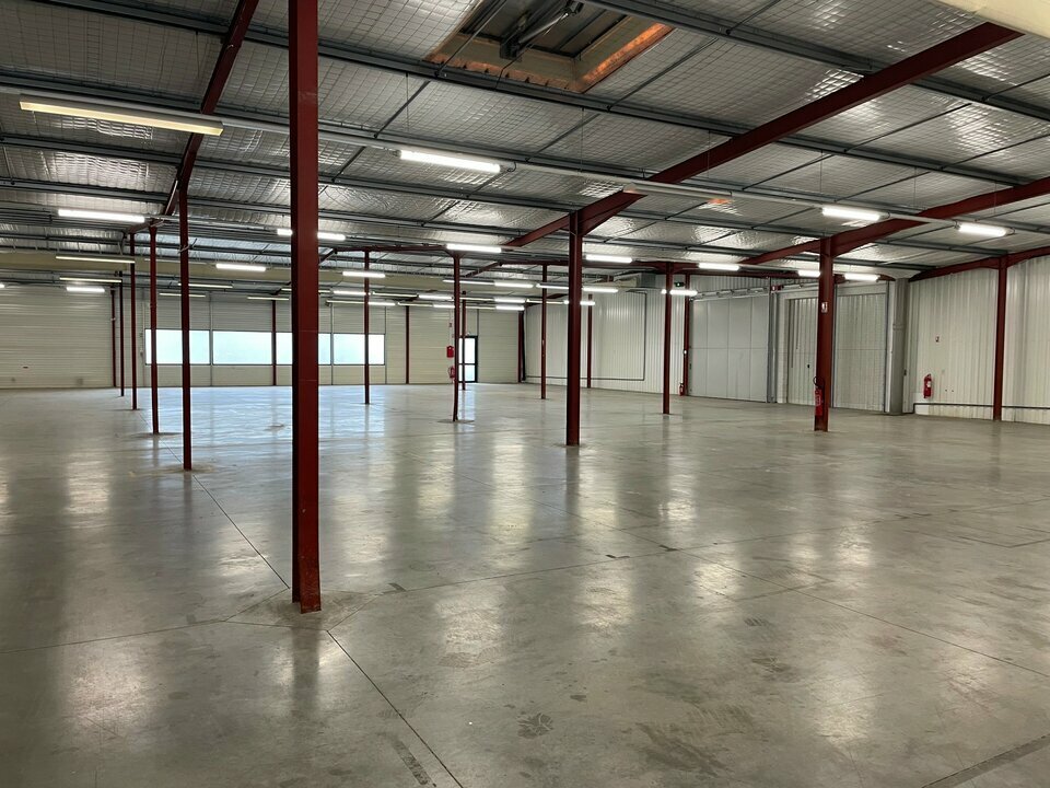 CUSHMAN WAKEFIELD BORDEAUX LOCATION-LOCAL D'ACTIVITE-SAINT_MEDARD_D'EYRANS-33