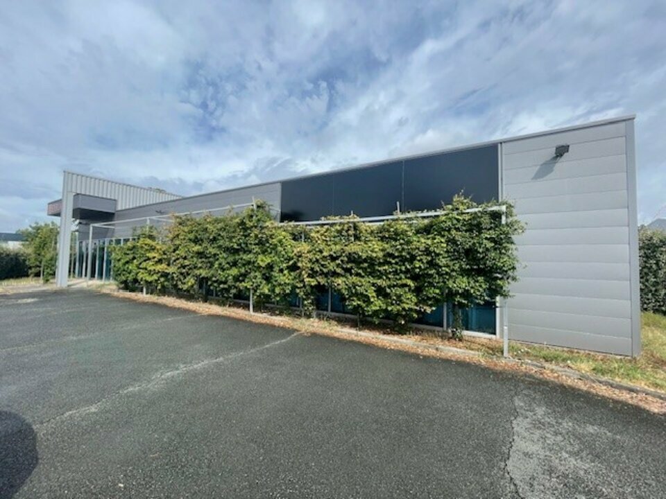 CUSHMAN WAKEFIELD BORDEAUX VENTE-LOCAL D'ACTIVITE-VILLENAVE-D'ORNON-33