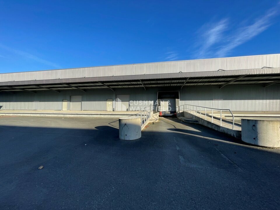 CUSHMAN WAKEFIELD BORDEAUX LOCATION-ENTREPOT-BLANQUEFORT-33