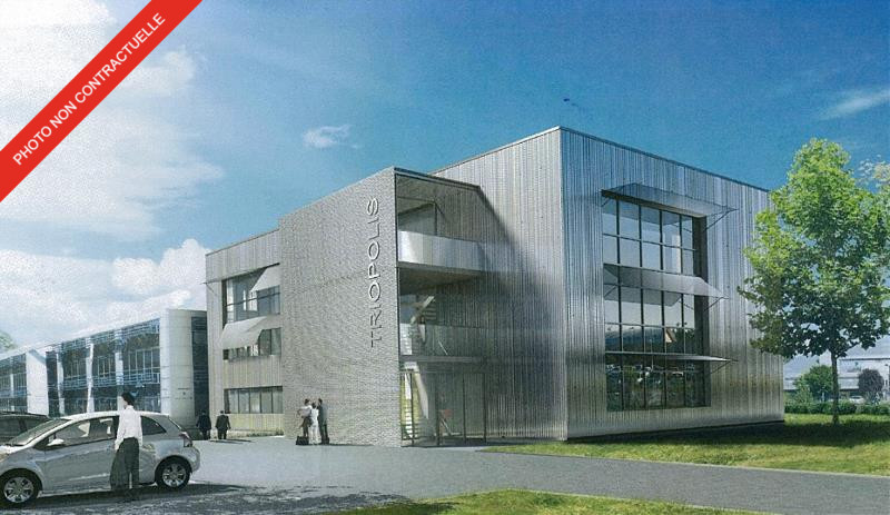 CUSHMAN WAKEFIELD BORDEAUX LOCATION-BUREAUX-BORDEAUX-33