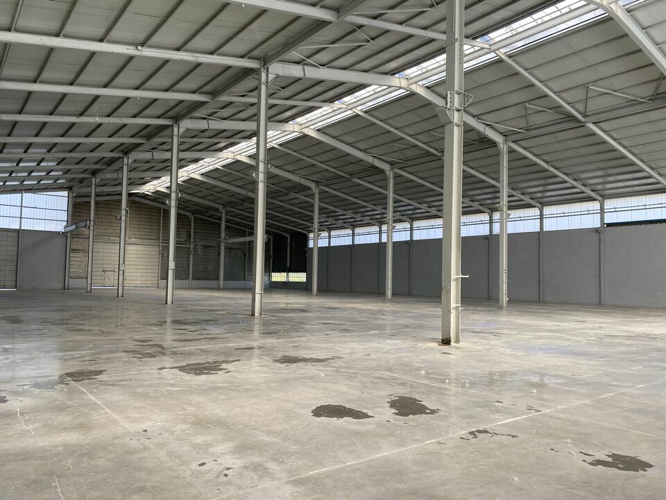 ARTHUR LOYD SUD BOURGOGNE LOCATION-LOCAL D'ACTIVITE-SAINT_VALLIER-71