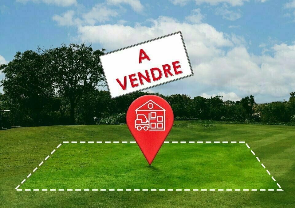 ARTHUR LOYD SUD BOURGOGNE VENTE-TERRAIN-BLANZY-71