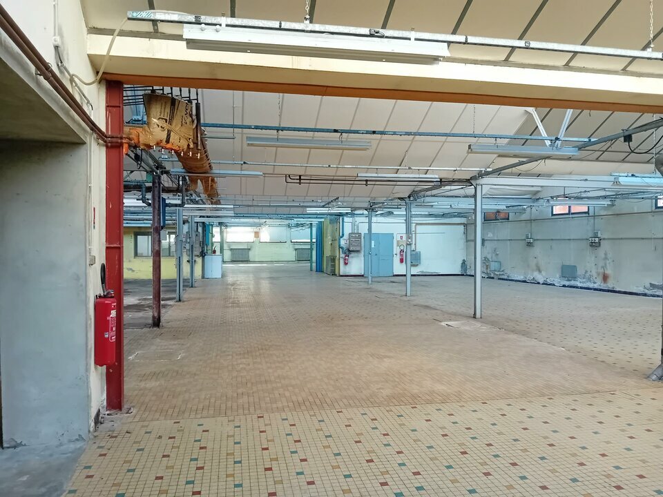 ARTHUR LOYD SUD BOURGOGNE LOCATION-LOCAL D'ACTIVITE-FONTAINES-71