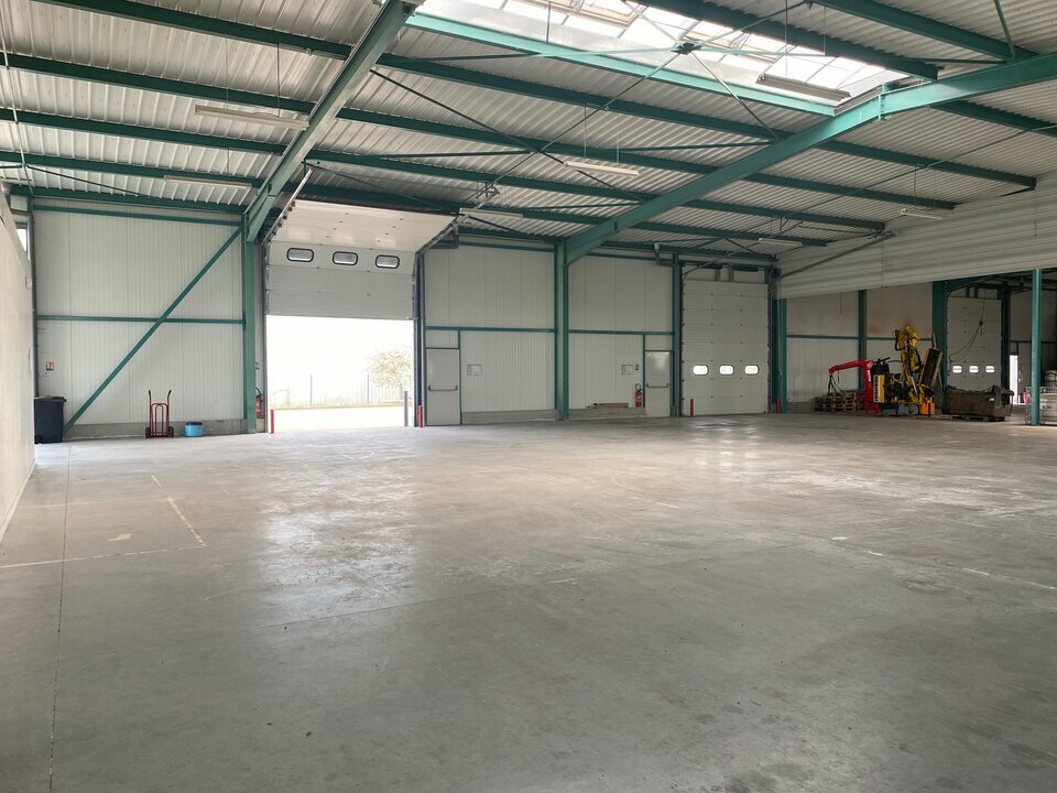 ARTHUR LOYD SUD BOURGOGNE LOCATION-LOCAL D'ACTIVITE-DRACY_LE_FORT-71