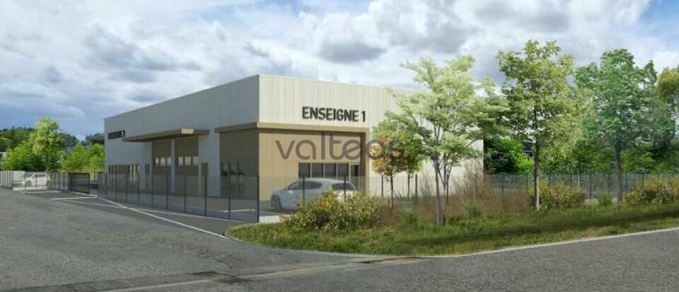 VALTEOS TOULOUSE LOCATION-LOCAL D'ACTIVITE-VILLENEUVE-TOLOSANE-31