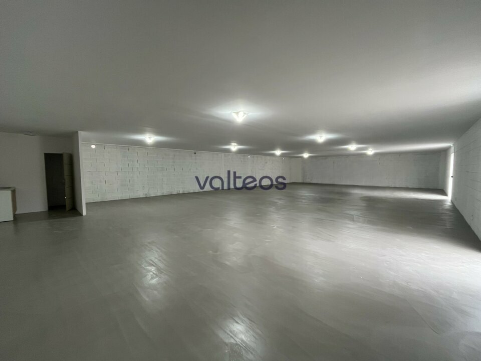 VALTEOS TOULOUSE LOCATION-LOCAL D'ACTIVITE-TOULOUSE-31