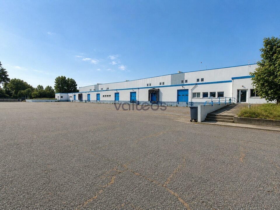 VALTEOS TOULOUSE LOCATION-LOCAL D'ACTIVITE-GRISOLLES-82