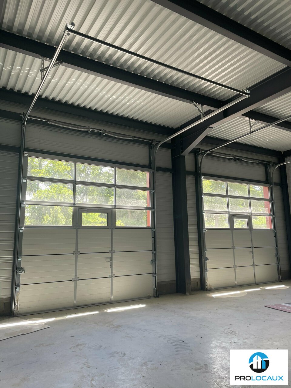 PROLOCAUX VENTE-LOCAL D'ACTIVITE-MONTMERLE-SUR-SAONE-01