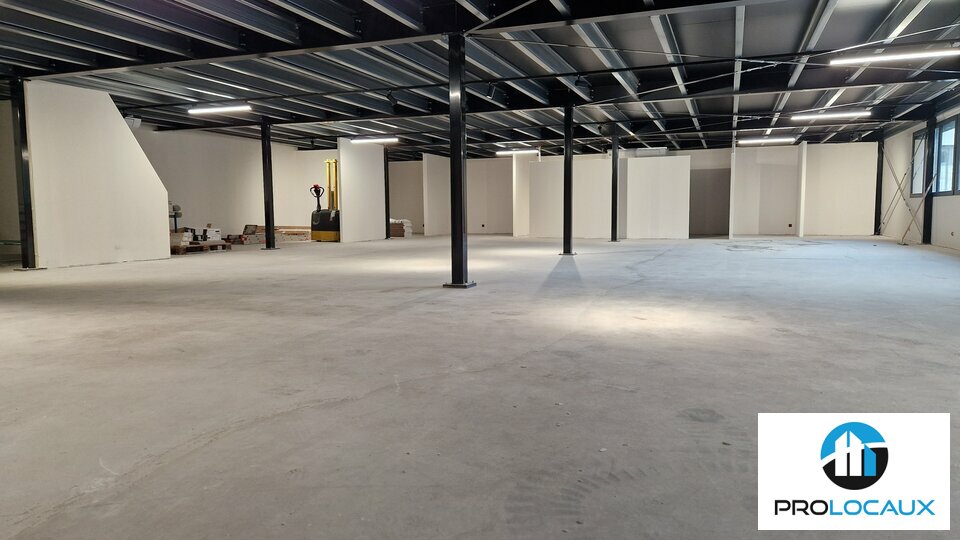 PROLOCAUX VENTE-LOCAL D'ACTIVITE-ANNECY___MEYTHET-74