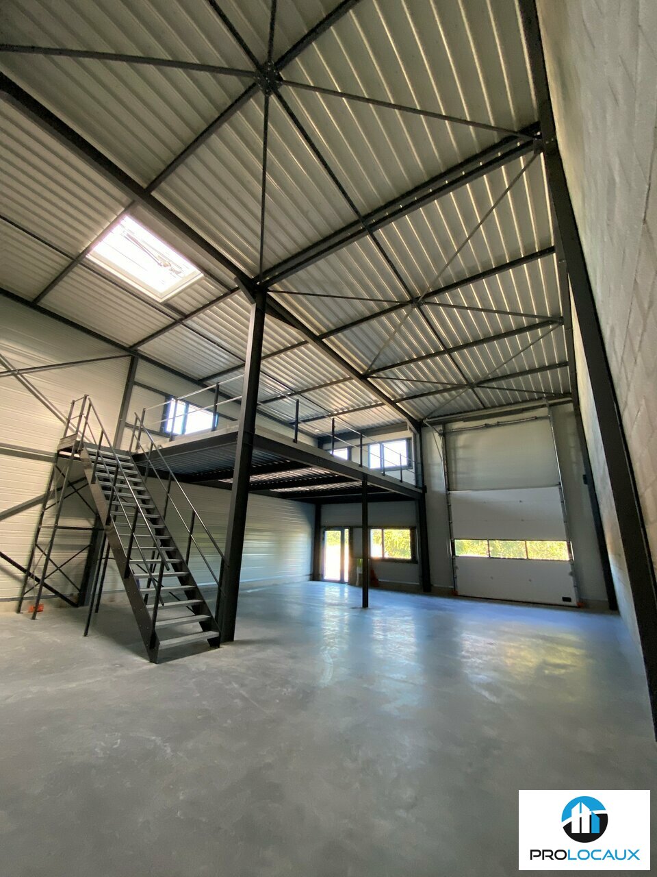 PROLOCAUX VENTE-LOCAL D'ACTIVITE-SEYNOD-74