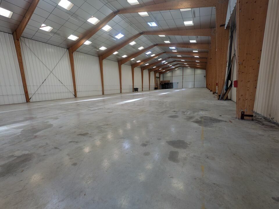PROLOCAUX VENTE-LOCAL D'ACTIVITE-LA_SAUSSAYE-27