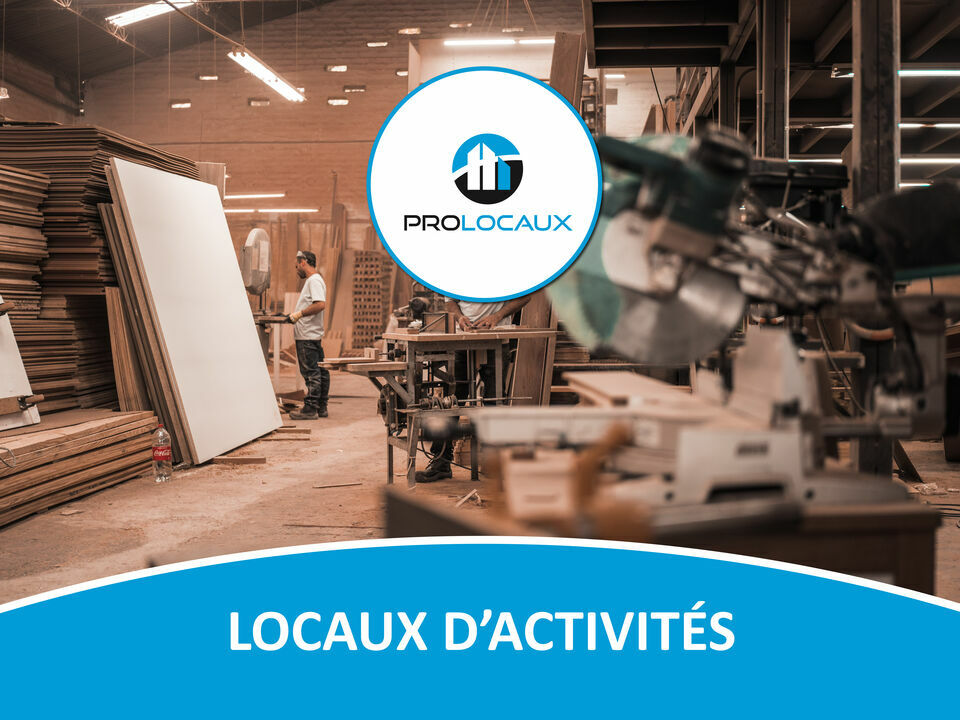 PROLOCAUX VENTE-LOCAL D'ACTIVITE-SAINT_EGREVE-38