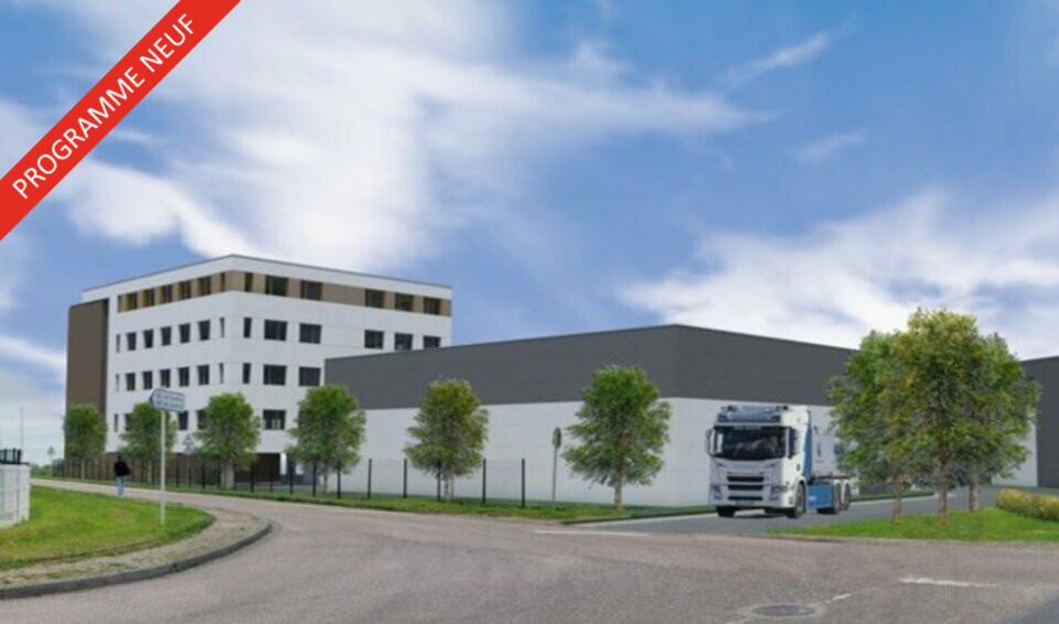 PROLOCAUX LOCATION-BUREAUX-BELBEUF-76