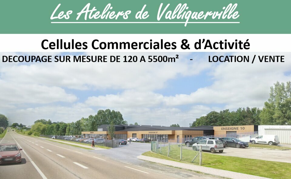 PROLOCAUX VENTE-LOCAL D'ACTIVITE-VALLIQUERVILLE-76