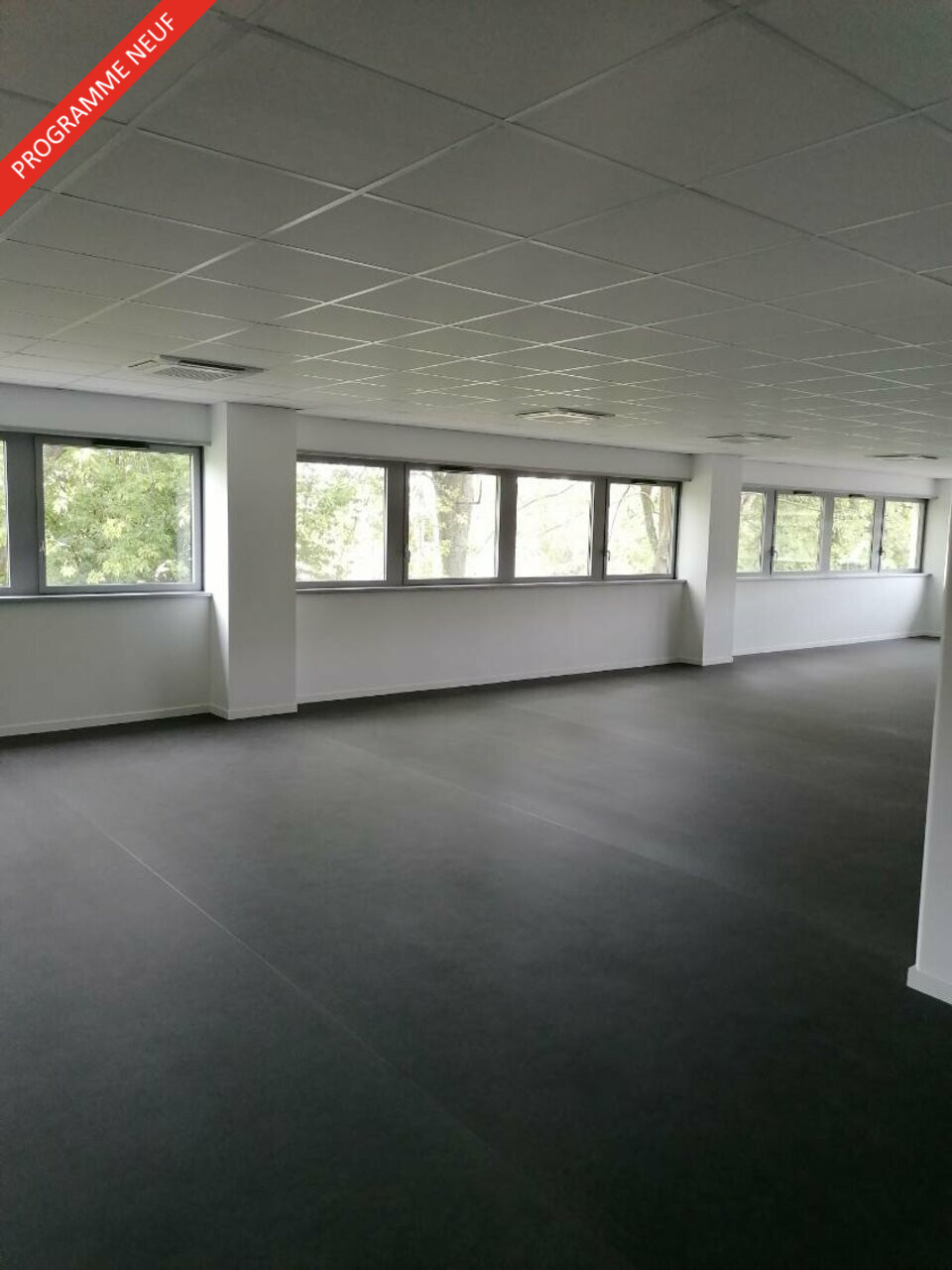 PROLOCAUX LOCATION-BUREAUX-MONT-SAINT-AIGNAN-76
