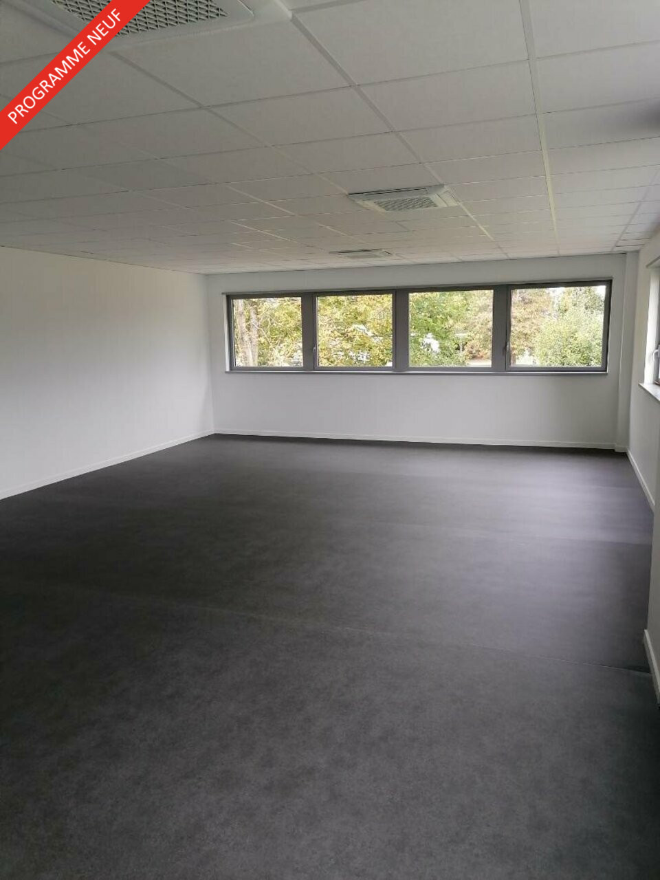 PROLOCAUX VENTE-BUREAUX-MONT-SAINT-AIGNAN-76
