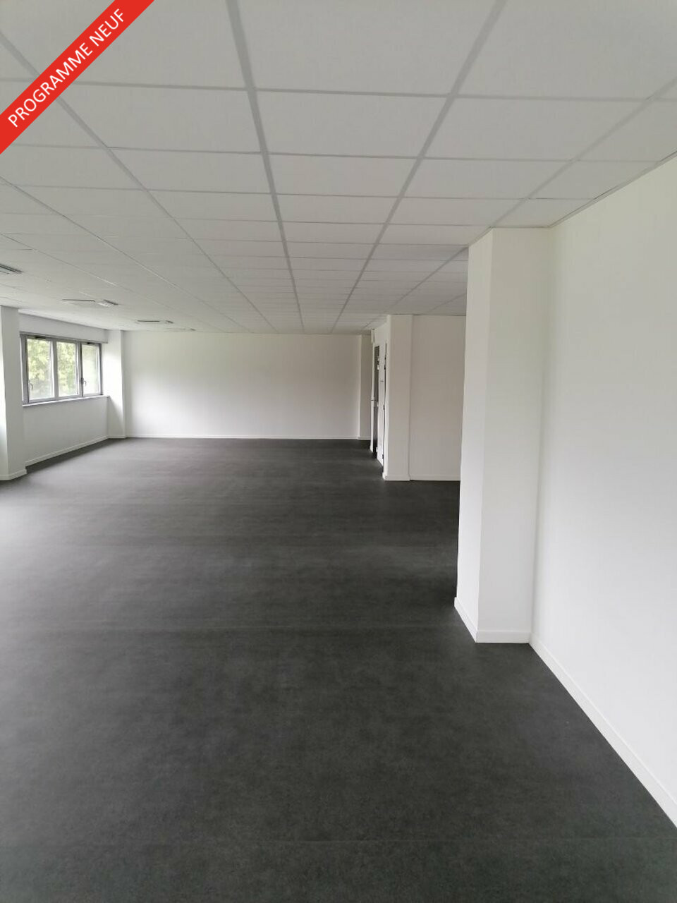 PROLOCAUX VENTE-BUREAUX-MONT-SAINT-AIGNAN-76