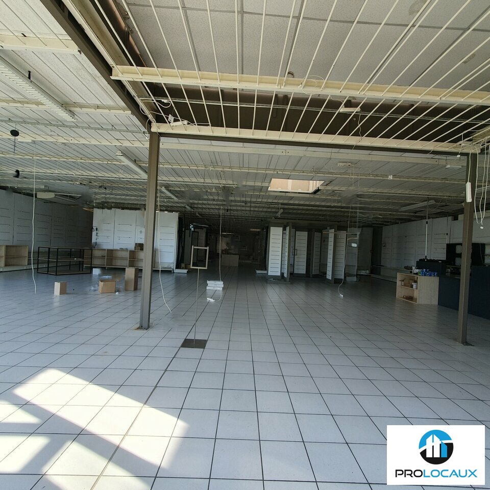 PROLOCAUX LOCATION-LOCAL COMMERCIAL-CHAINTRE-71
