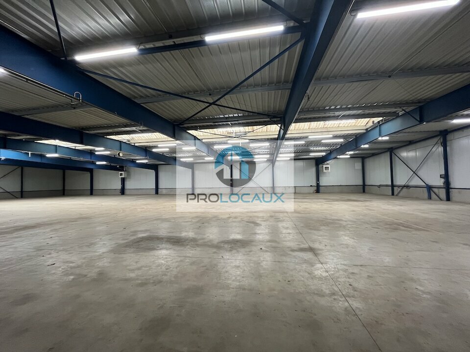 PROLOCAUX VENTE-LOCAL D'ACTIVITE-ROYE-80