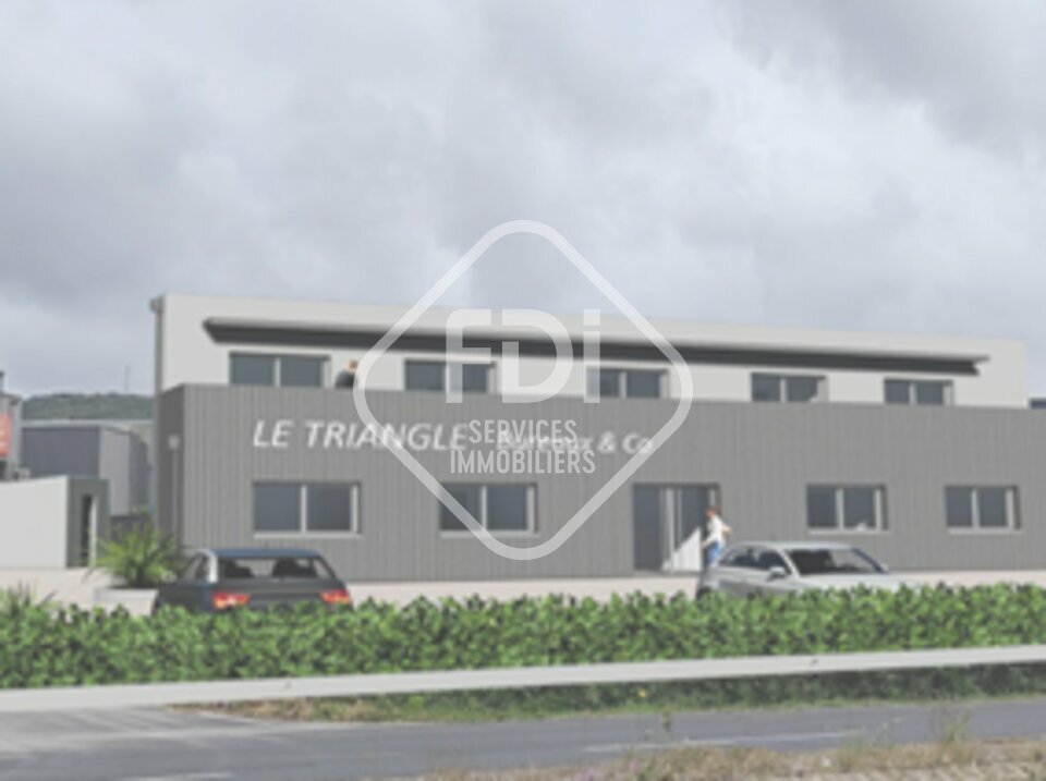 FDI GACI LOCATION-BUREAUX-BALARUC_LE_VIEUX-34