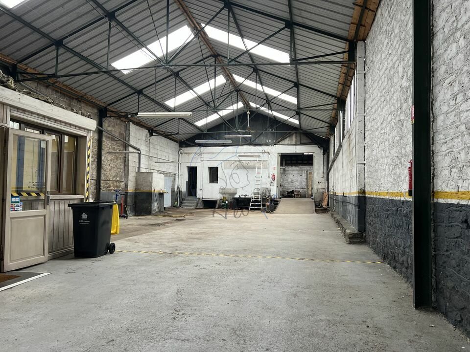 STRUCTURES VENTE-LOCAL D'ACTIVITE-BRIVE-LA-GAILLARDE-19