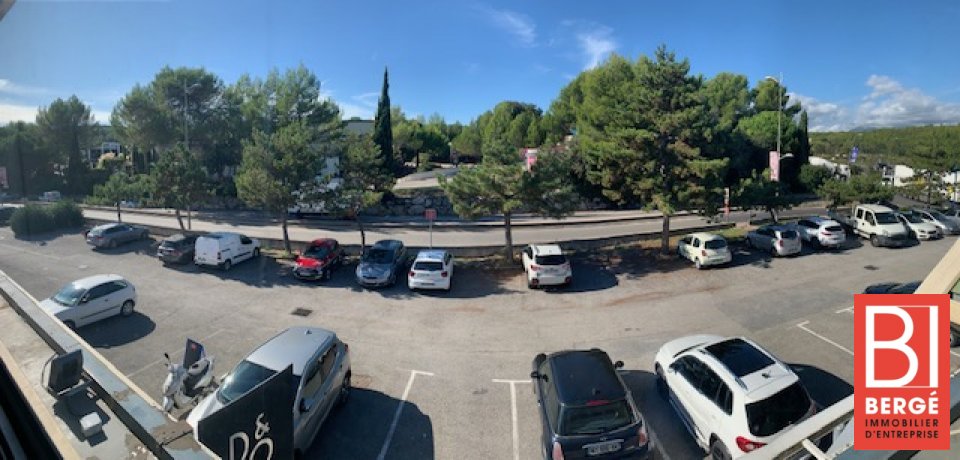 BERGE IMMOBILIER CANNES LOCATION-BUREAUX-VALLAURIS-06