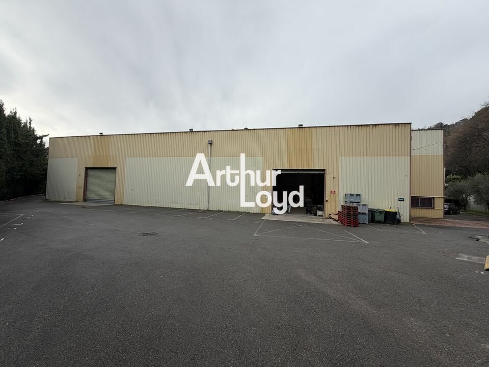 ARTHUR LOYD NICE SOPHIA LOCATION-LOCAL D'ACTIVITE-SAINT-JEANNET-06