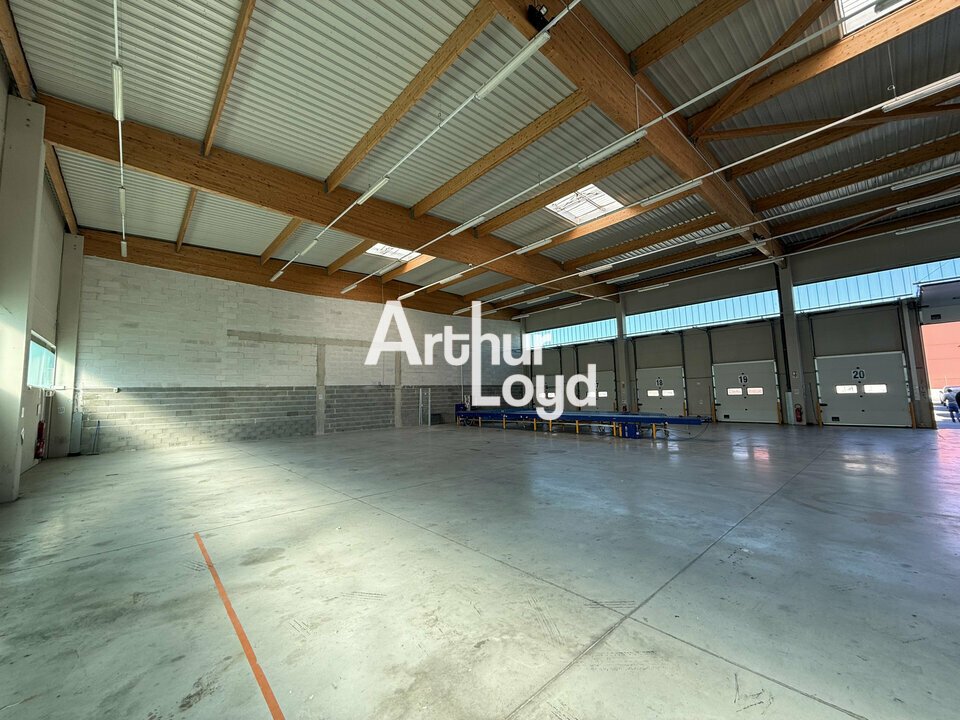 ARTHUR LOYD NICE SOPHIA LOCATION-LOCAL D'ACTIVITE-LES_ARCS-83