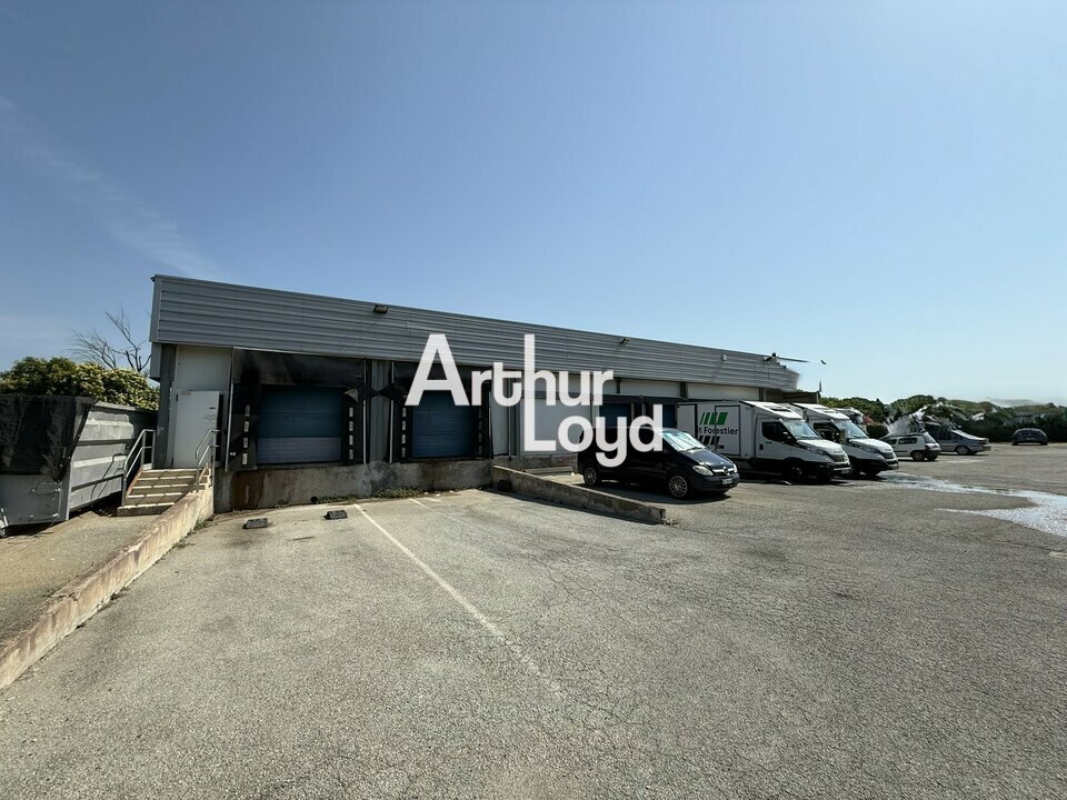 ARTHUR LOYD NICE SOPHIA LOCATION-LOCAL D'ACTIVITE-PUGET-SUR-ARGENS-83