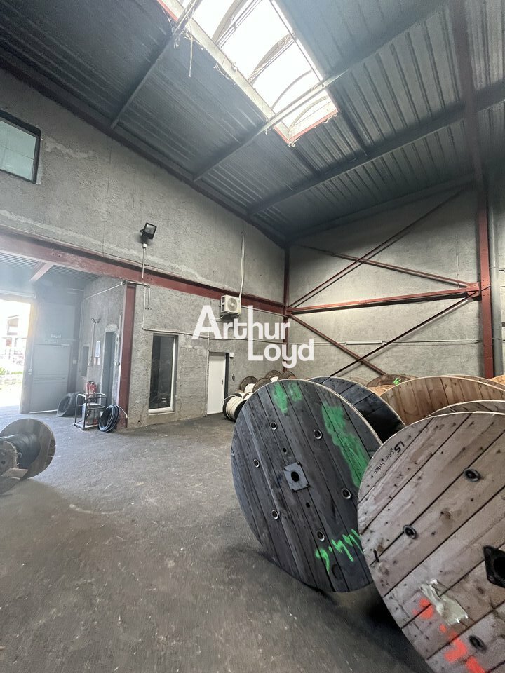 ARTHUR LOYD NICE SOPHIA LOCATION-LOCAL D'ACTIVITE-MANDELIEU_LA_NAPOULE-06