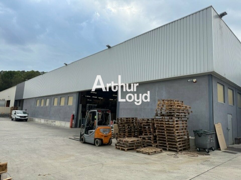 ARTHUR LOYD NICE SOPHIA LOCATION-LOCAL D'ACTIVITE-VALLAURIS-06