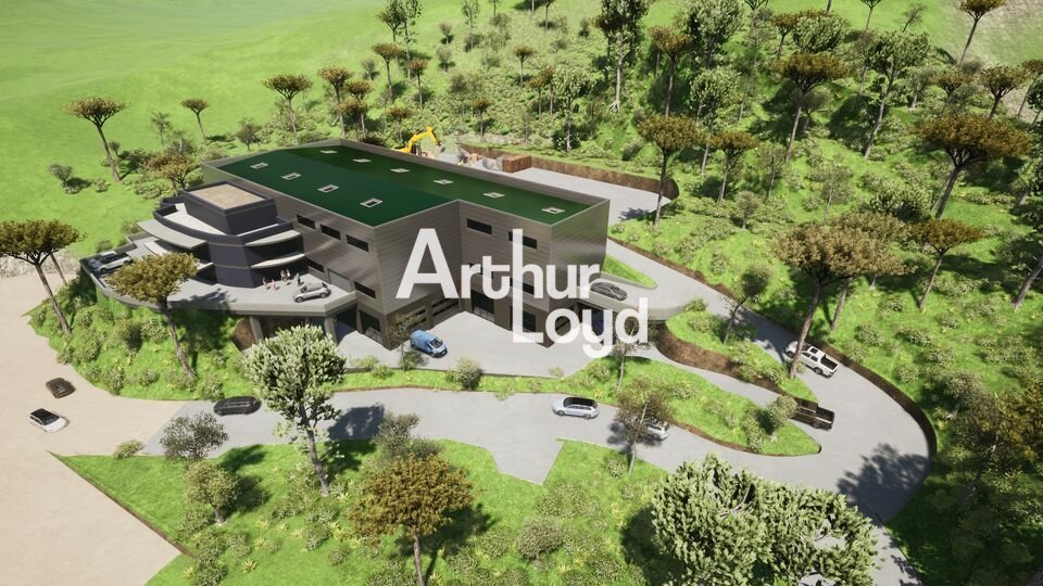 ARTHUR LOYD NICE SOPHIA LOCATION-LOCAL D'ACTIVITE-NICE-06