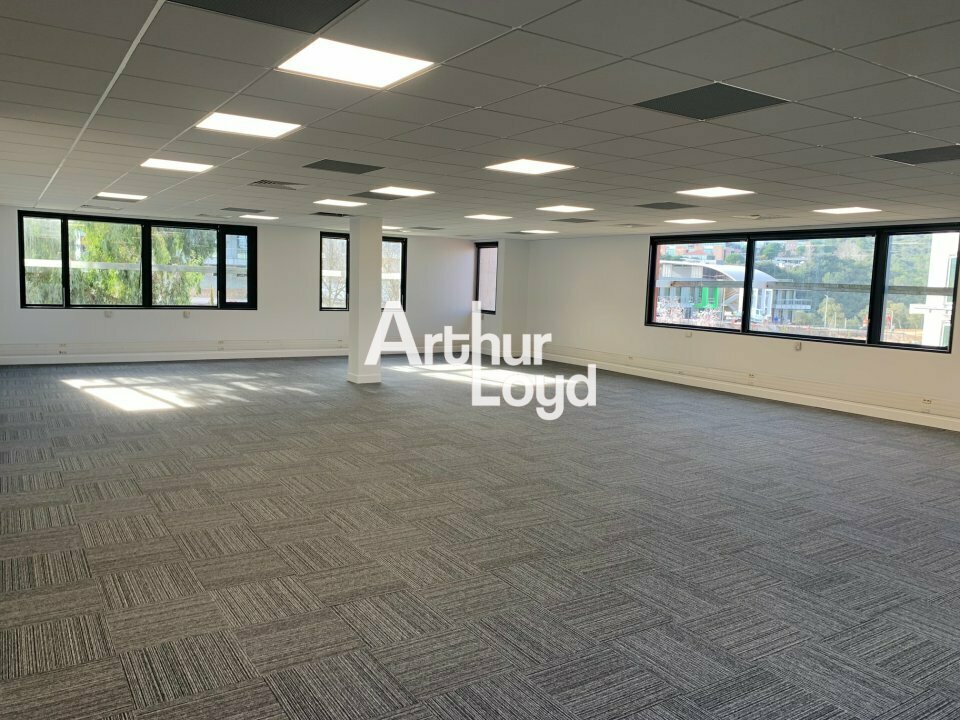 ARTHUR LOYD NICE SOPHIA LOCATION-BUREAUX-SOPHIA_ANTIPOLIS-06